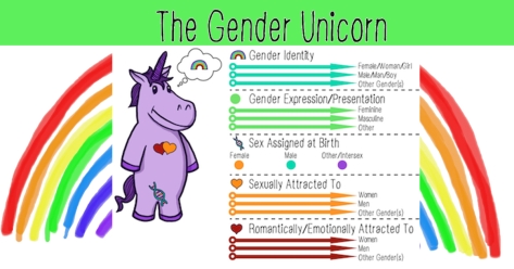 gender_unicorn3